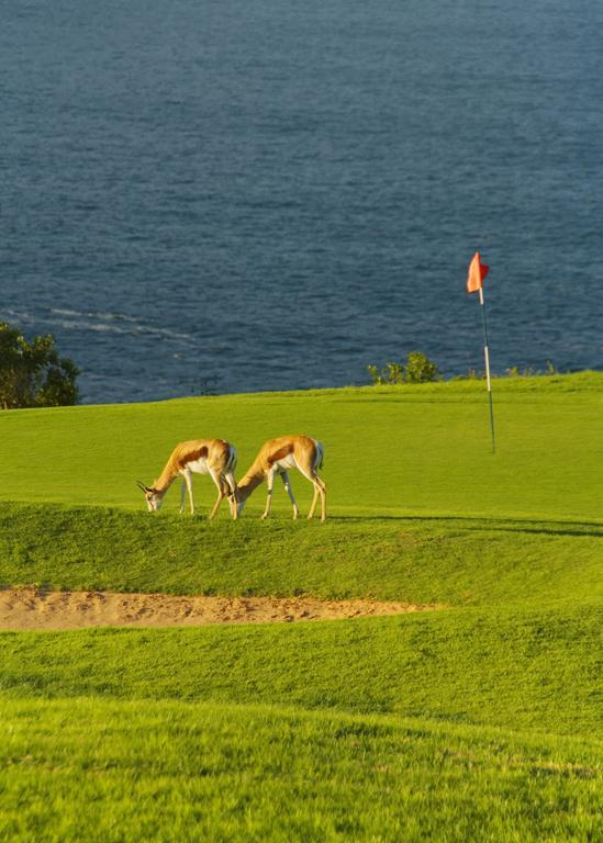 Mossel Bay Golf Lodge Luaran gambar
